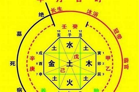 喜用神是什麼|【命理】八字命理中怎樣取「用神」？ 